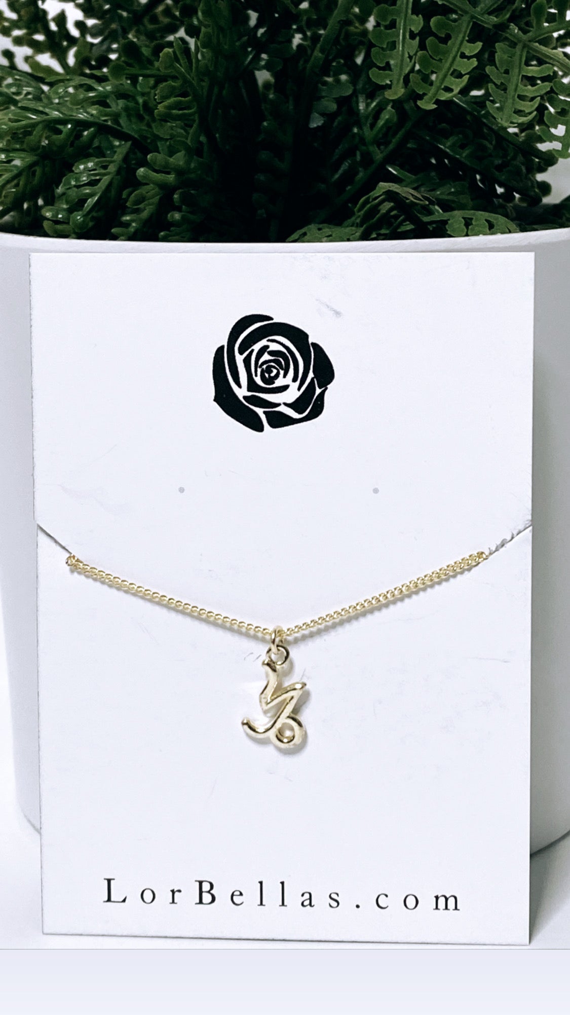 Capricorn- Zodiac Necklace